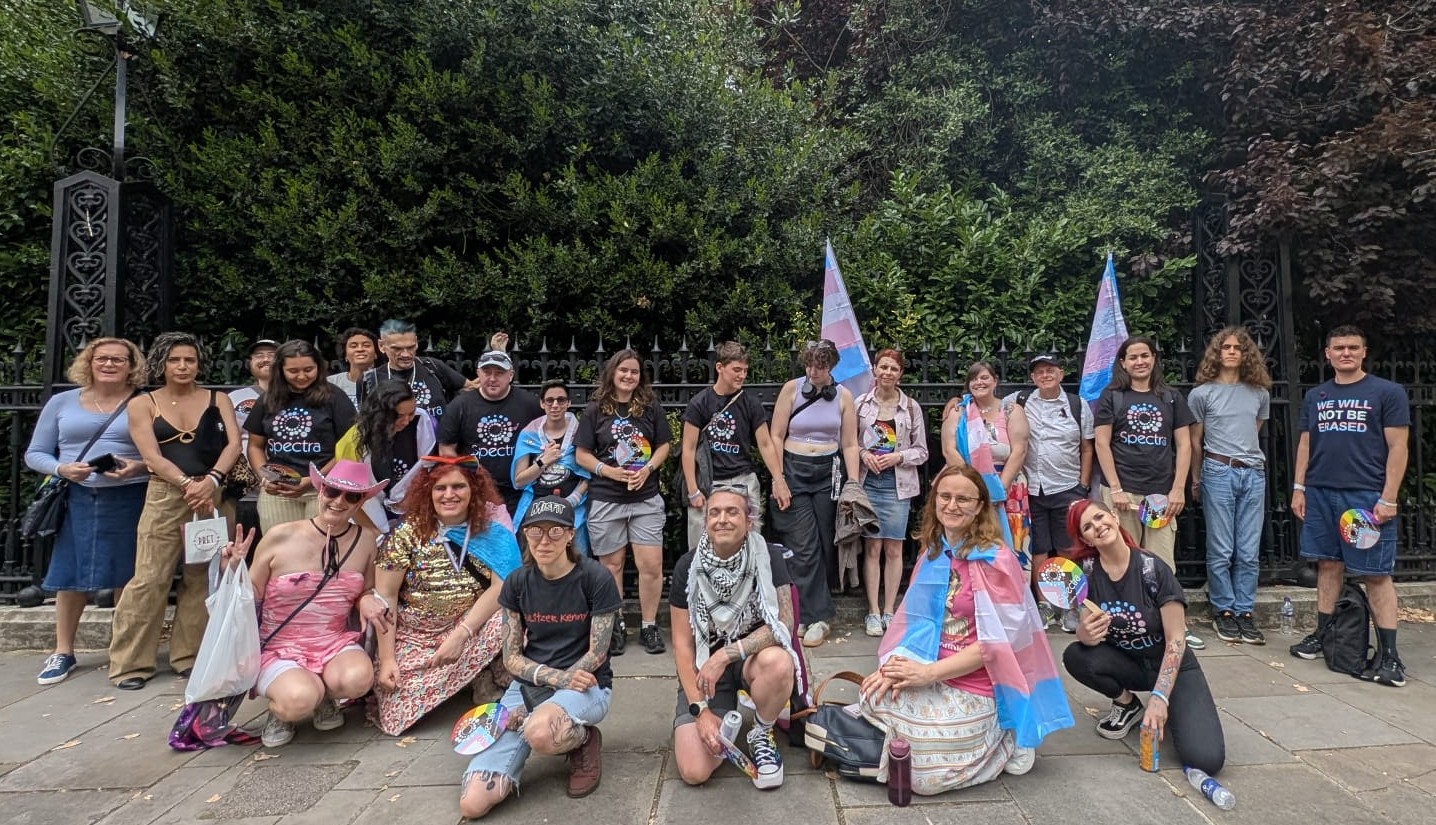 A group of people sitting on the ground and some behind them, posing for the picture, with various trans flags around them.