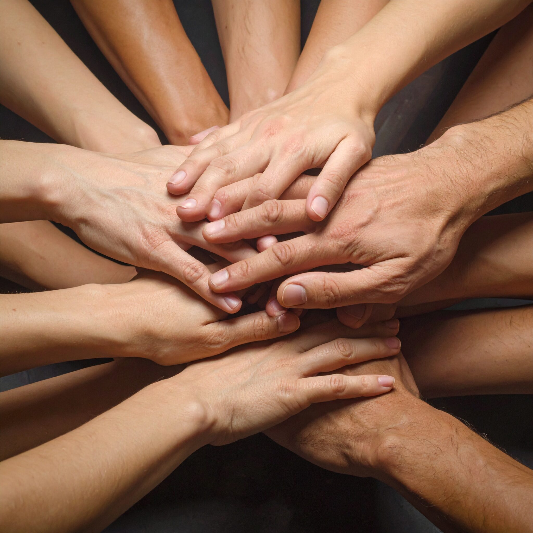 Team.jpg?rlkey=7lmnddm0n9js25n69oepy5jxl&st=jx7a13jd&dl=1